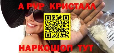 стафф Камышлов