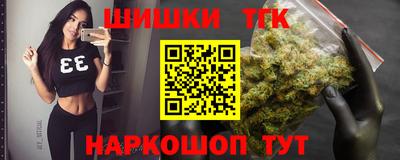 стафф Камышлов