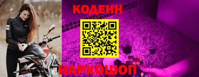 стафф Камышлов