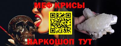 гашик Кингисепп