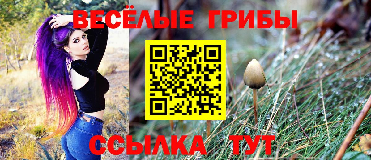 Крымск  Псилоцибиновые грибы прущие грибы  Вход с VPN  Псилоцибиновые грибы GOLDEN TEACHER 